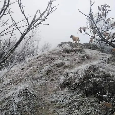 Apartmán Family - *