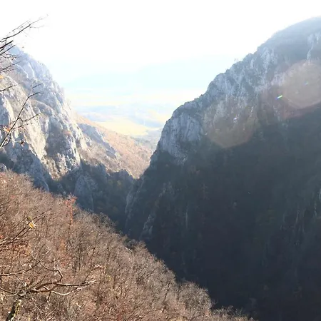 Family - Zádiel Zadiel